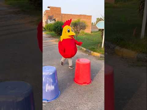 big rooster 🐔