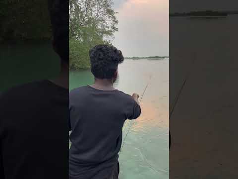 വളരെ എളുപ്പത്തിൽ കറിവെക്കാൻ പറ്റിയ മീൻ പിടുത്തം 😇#fish #fishing #trending
