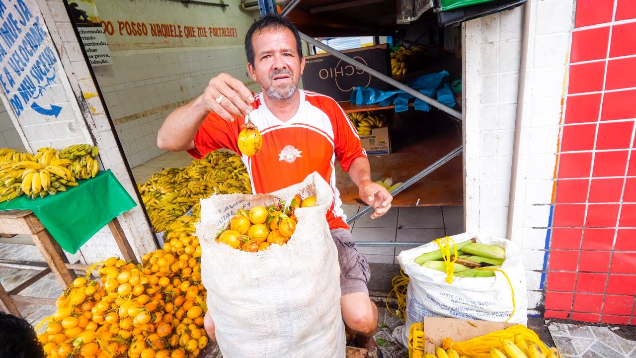 Tour of Manaus, Brazil - Biggest City in AMAZON RAINFOREST - Wild Fruit, Attractions, and Dinner! - Mark Abroad