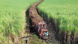 Riding an Overloaded Primitive Train Full of Sugarcane