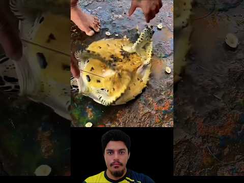 Surah Al_Hasher beautiful 😻 quran Recitation EGZONI-BRAHIMI #egzon #ibrahim #viral #video #shorts