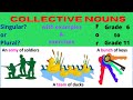 Understanding Collective Nouns