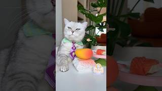 Mango Lava Ice Cream #chefcat #catcookingfood