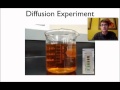 Glucose and Diffusion Concepts