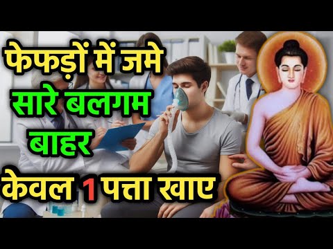 फेफड़ों में जमे सारे बलगम बाहर ये रेमेडी अपनालो | Buddhist Story On Lungs Health #sanskrit_inspired