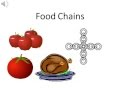Exploring Food Chains and Webs