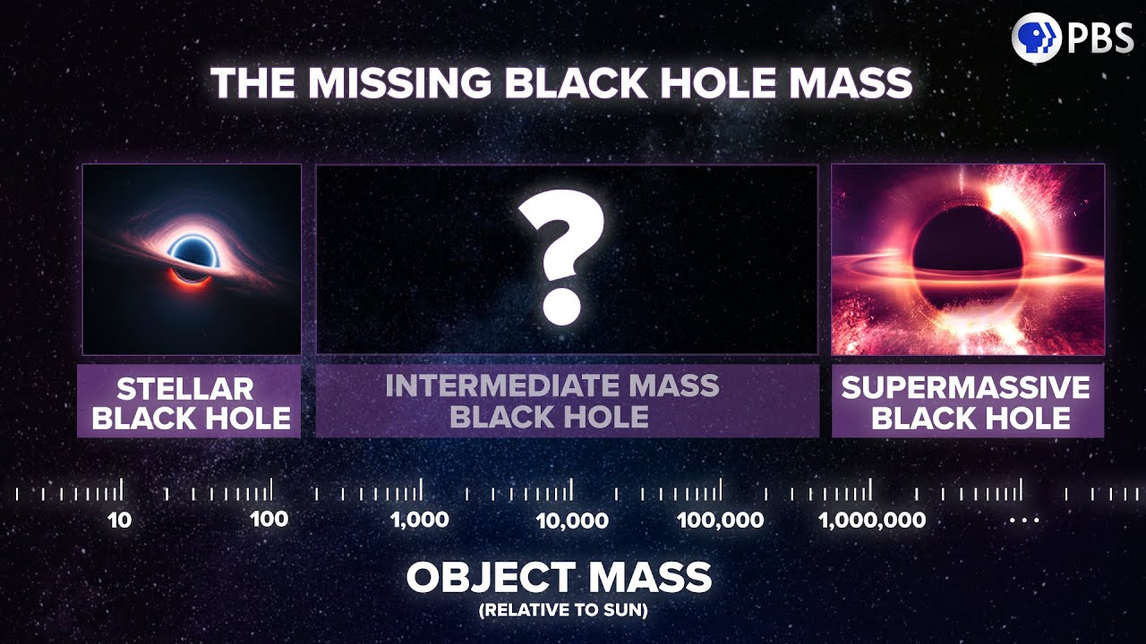 Did JWST SOLVE The Mystery of Supermassive Black Hole Origins?