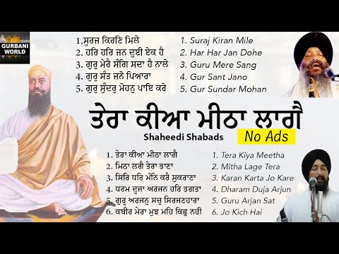Tera Kiya Meetha Lage - Guru Arjan Dev Ji Shaheedi Bairag Kirtan Shabads - No Ads -  Darbar Sahib