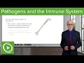 Immune System Concepts and Functions