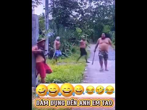 Dám đụng đến anh em tao #funny #shortvideo #haihuoc #giaitri