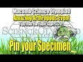 Insect Pinning Techniques and Practices