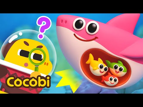Apa yang Ada di Perut Ibu Hiu?🦈 | Lagu Anak-anak | Kids Songs | Cocobi