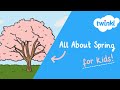 Understanding Spring: Concepts and Facts