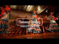Flamenco Dance Characteristics and Culture