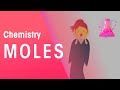 Haber Process and Stoichiometry Concepts