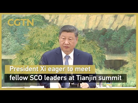 President Xi says looking forward to meeting fellow SCO leaders at Tianjin summit