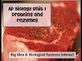 Enzyme Function and Protein Structure