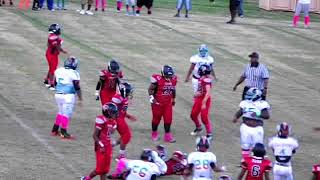falcons termites vs dolphins 2017