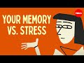 Memory Formation and Stress Management