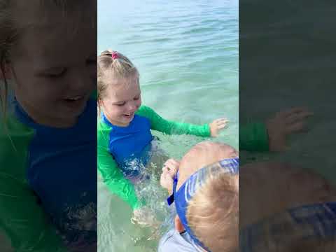 Kids activities: swimming in the ocean, pool and feeding ducks
