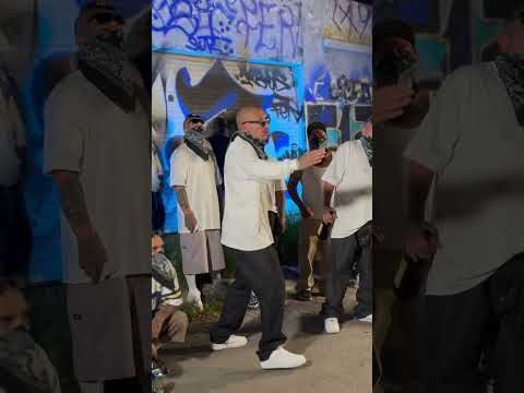 Grabando con el sapoloko🔥 #shitmasiva🇲🇽 #shortsyoutube