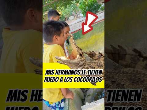 Mis hermanos le tienen miedo a los cocodrilos 😱🐊interesante asombroso 😱🐊
