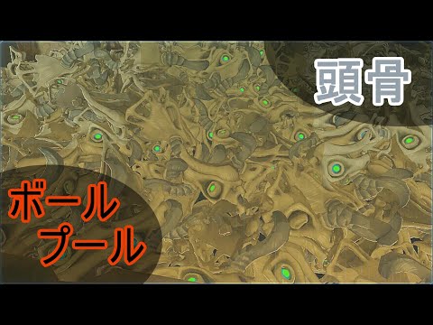 【ブレワイ】気になったのでスイッチ２の限界まで頭骨を増やしてみた【ドリカラ】【ゼルダの伝説,ブレスオブザワイルド,BotW,字幕実況,バグ,検証】