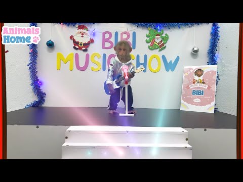 Monkey Bibi Big Music Show – Dance, Sing, and Have Fun