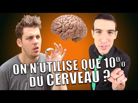 IDÉE REÇUE #7 : Le cerveau (feat. Pierre Croce)