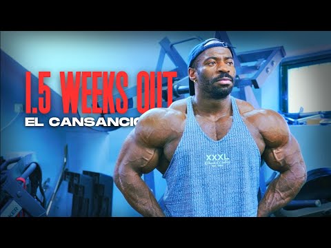 1.5 WEEKS OUT || SEMANA DE DESCARGA