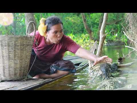 survival in the rainforest-women ride boat & found two ferret with goose egg-Eating delicious HD