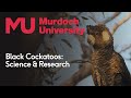 Black Cockatoo Conservation and Research