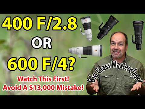 400mm F/2.8 Vs. 600mm F/4 - Which Is BEST For Wildlife And Bird Photography?