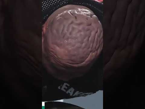 Ninguém Acreditou Nesse Atleta… até Ele Levantar 186kg Como Se Fosse Nada 😮. #atleta #curiosidades