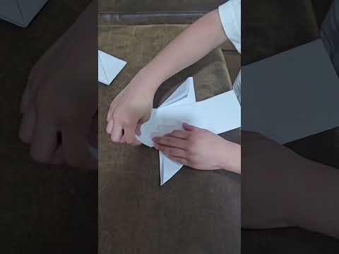 วิธีพับตั๊กจีในsquidgame Zeazap Channel วิธีพับตั๊กจีในsquidgame