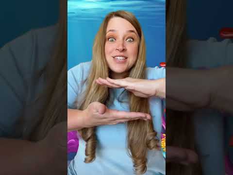 Ocean OPPOSITES with MS JESSICA #kidslearning #kidssongs