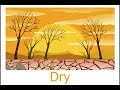 Understanding Weather Conditions