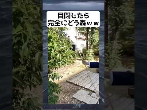 目閉じたらまじでどう森の世界広がるwww #shorts #面白い #tiktok