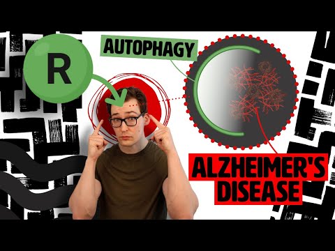 Rapamycin’s Anti-Alzheimer’s Promise: An Autophagy Story