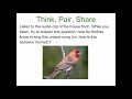 Understanding Animal Behavior Concepts