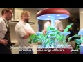 BestFlavours: Top chefs cook with Plantui