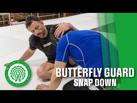 Butterfly Guard Snap Down - No Gi Jiu Jitsu with Stuart Cooper