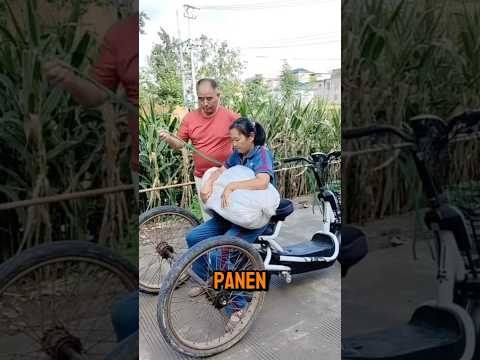 TRIK KREATIF ANGKUT BARANG BANYAK PAKAI MOTOR MINI!! #shorts #shortvideo #caraunik