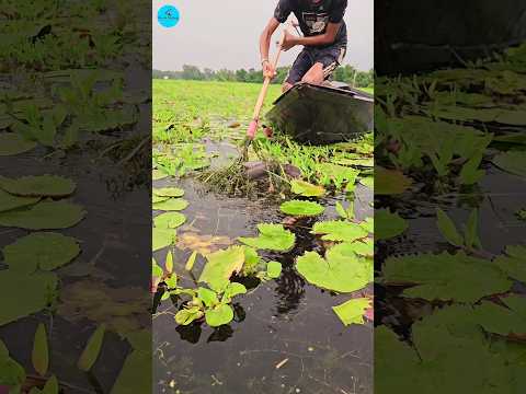 đ˛ Best Boat Fishing With Kotch đģ(part -33)#boatfishing #viral #shorts #fish #naturalfishing #bigfish