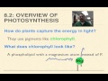 Photosynthesis Basics Review