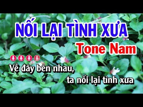 Nối Lại Tình Xưa Karaoke Tone Nam Dễ Hát | Nhạc Sống Tú Anh