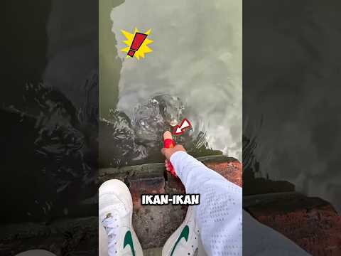 DARI NGEMIIL SANTAI ABANG INI JADI MANCING BENERAN !!