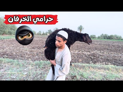 خروف الحاج صديق اتسرق وهو بيرعي شوف عمل اي 🤣🤣