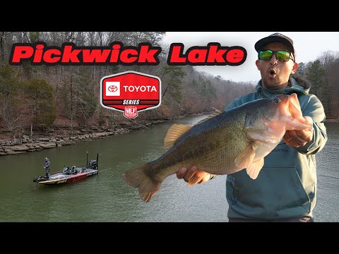 Lago Lleno De Bass Gigantes!!! |Practica Para MLF Toyota Series |