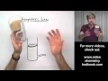 Understanding Avogadro's Law